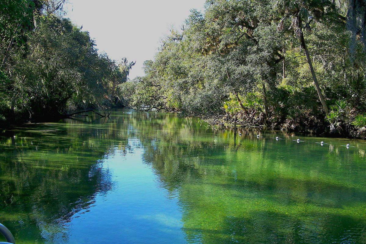 20 Most Beautiful Natural Springs in Florida to Add to Your Bucket
