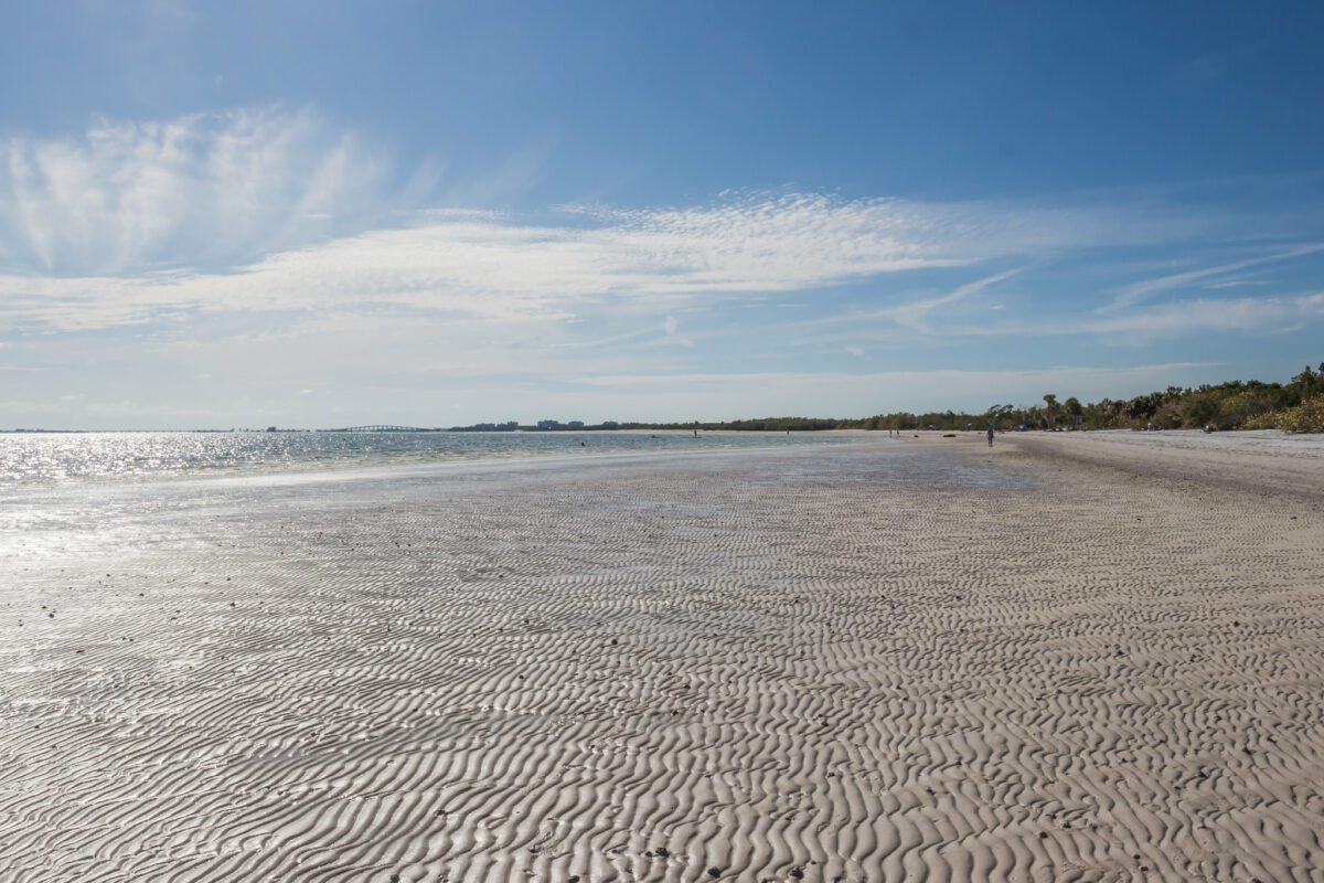 Bunche Beach Preserve