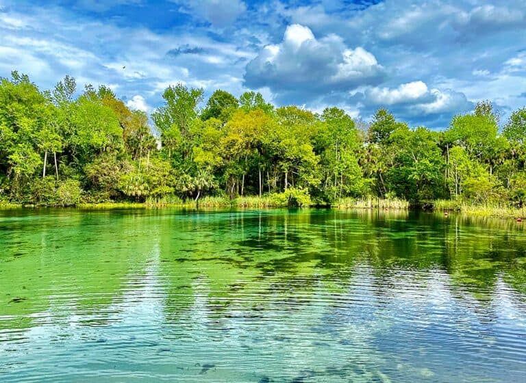  Freshwater Springs 