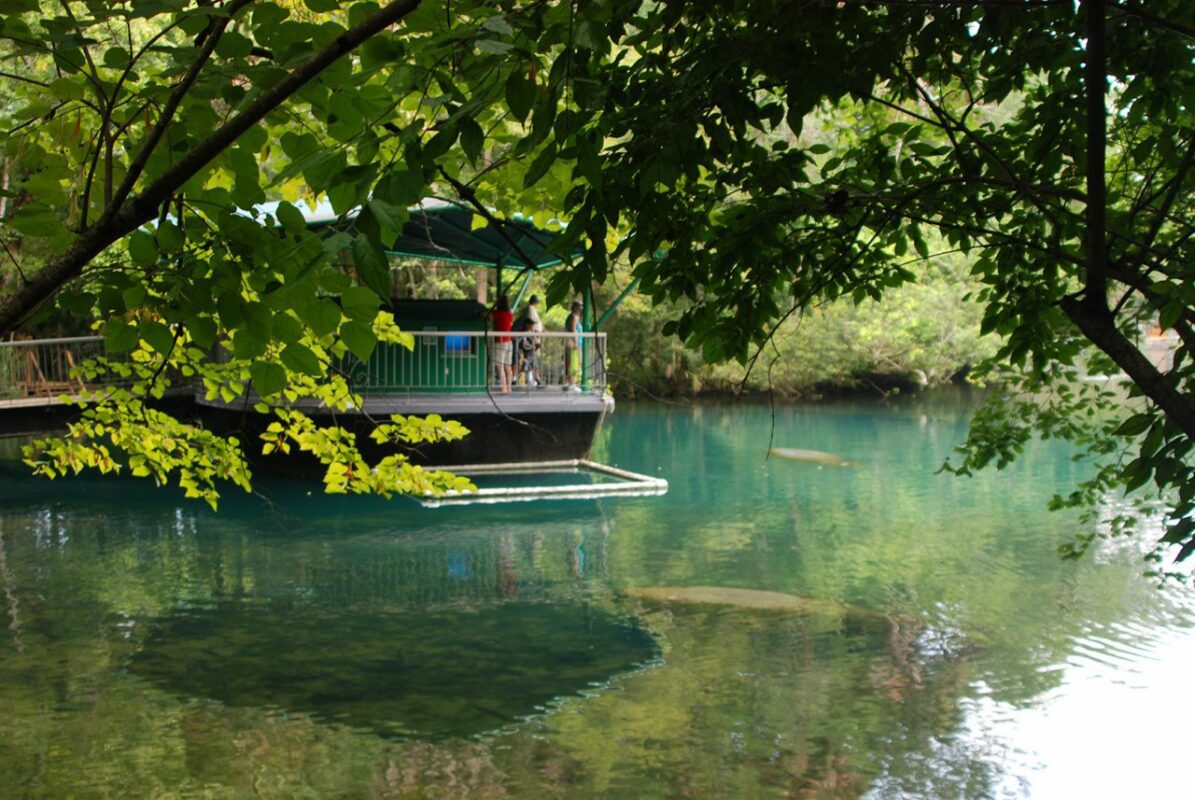 Homosassa Springs Homosassa   