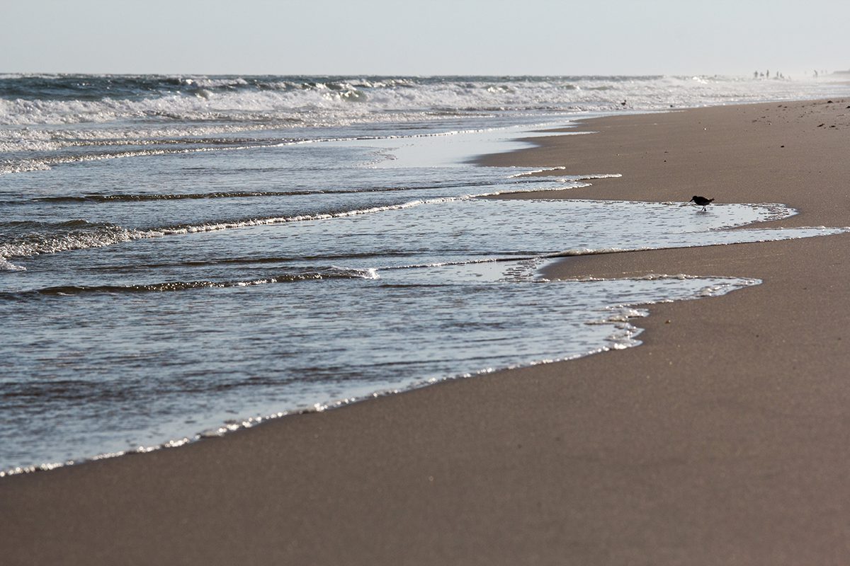 Johnson Beach