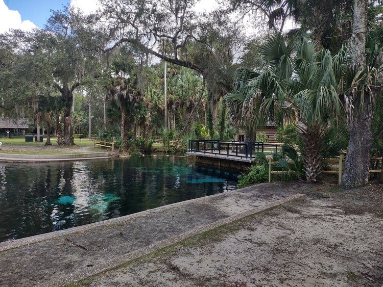 Juniper Springs Silver Springs