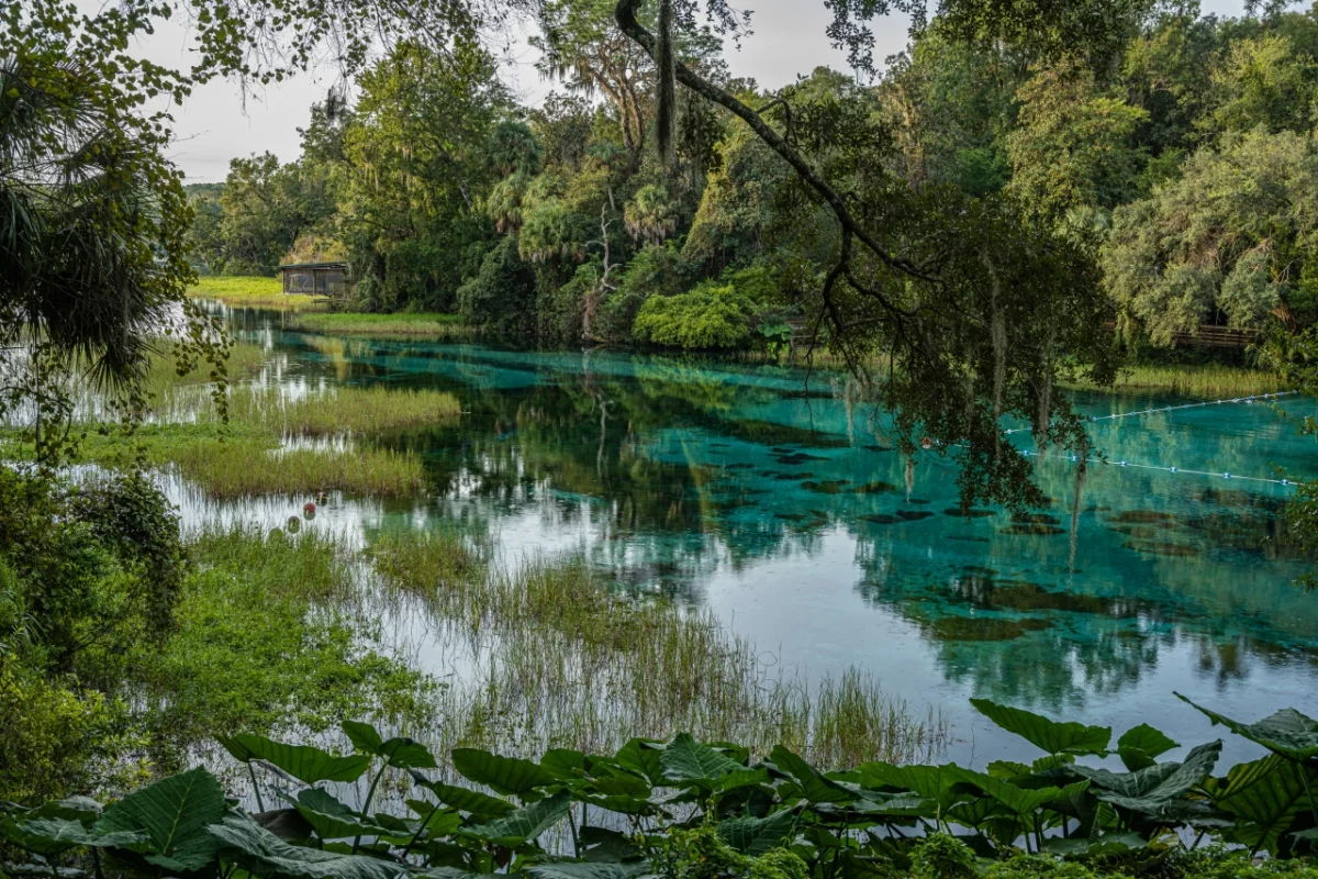 Rainbow Springs, Dunnellon