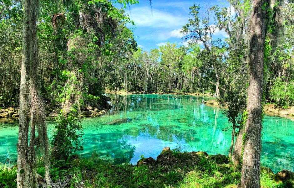 Three Sisters Springs Crystal River 