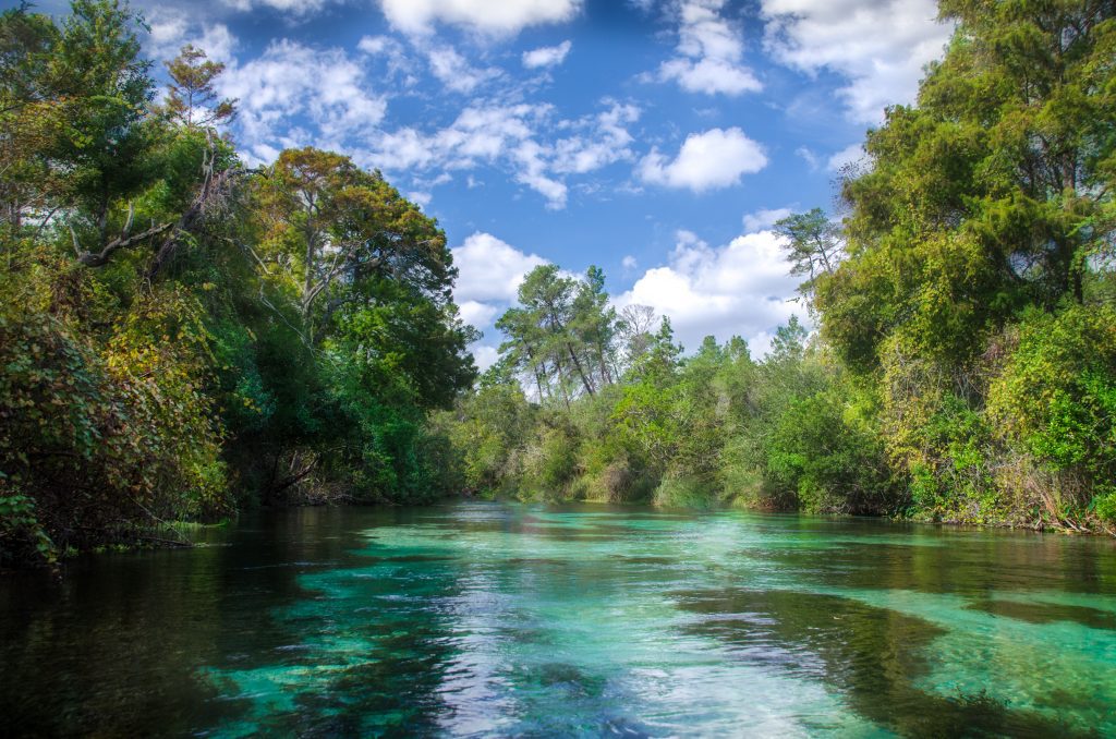 Weeki Wachee Springs State Park