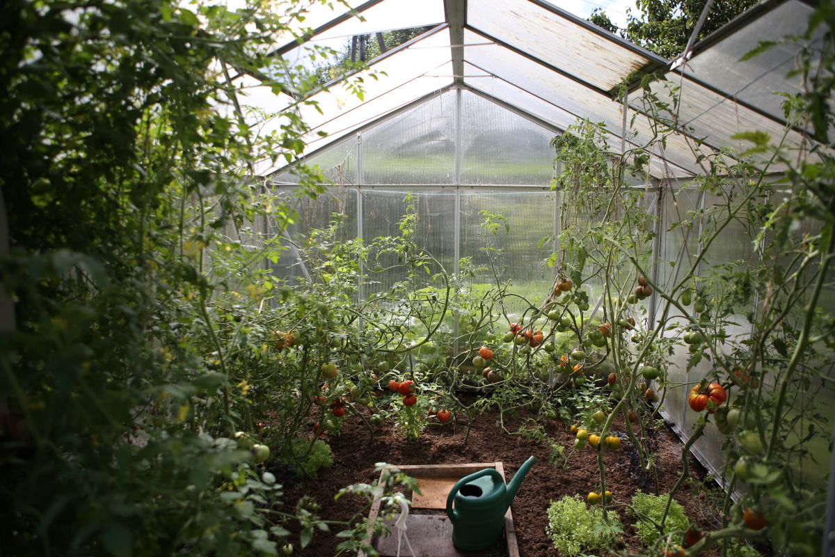 How to Sell a Home with a Greenhouse A Guide