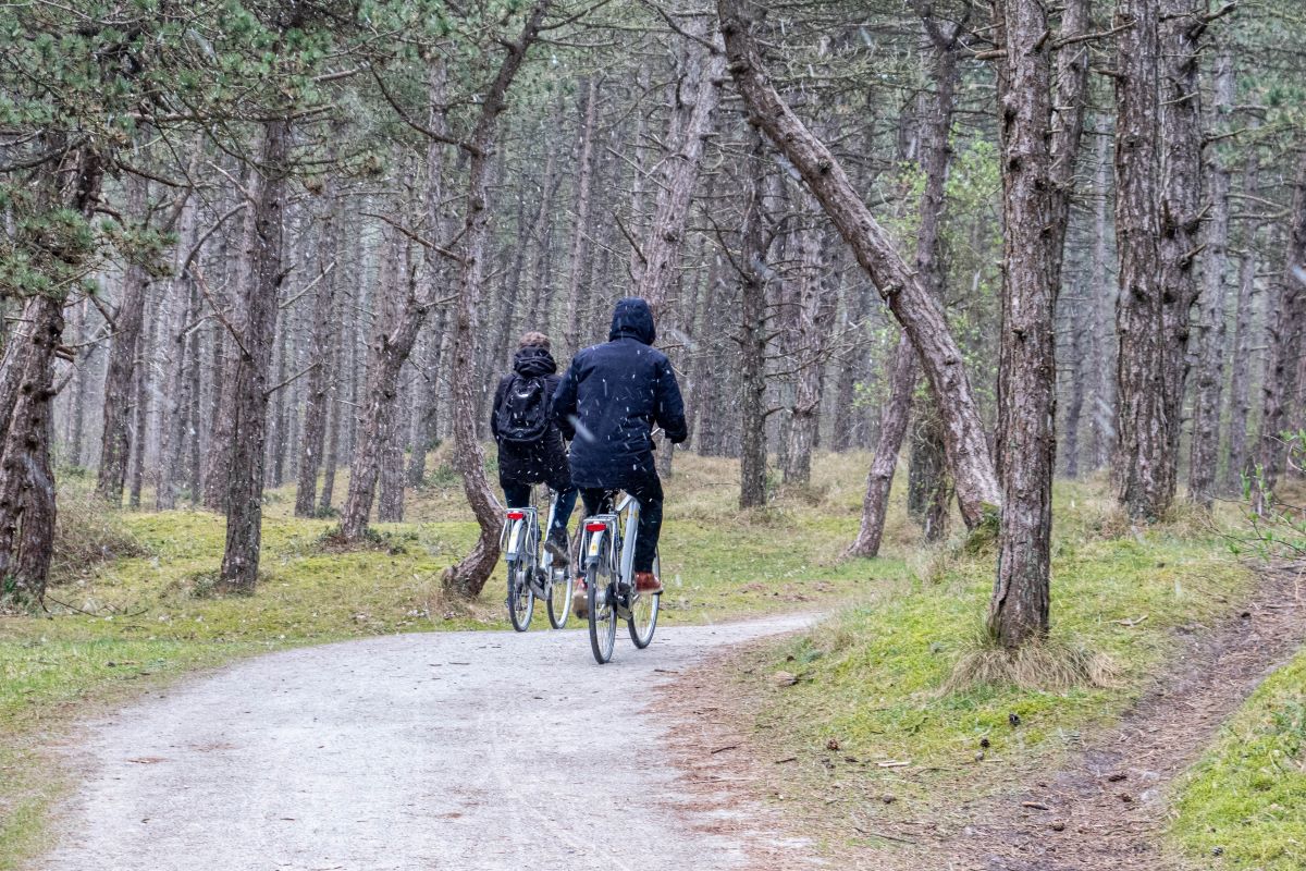 The Impact of Local Bike Paths on Home Sales